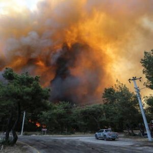 Türkiyədə meşələri kürd terrorçuları yandırıb